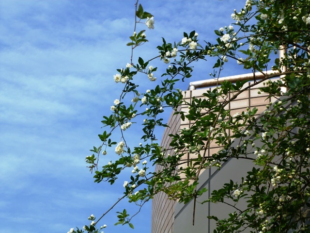 f:id:miyasun:20150414075854j:image