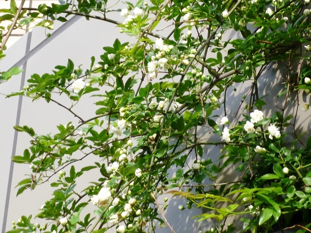f:id:miyasun:20150414075905j:image