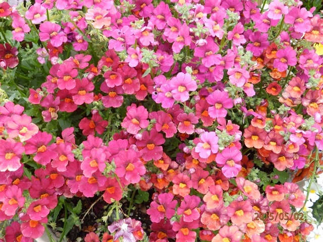 f:id:miyasun:20150502091533j:image