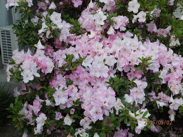 f:id:miyasun:20150502175349j:image