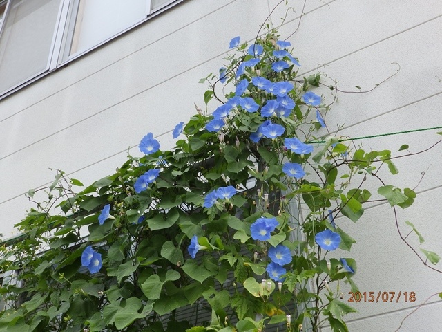 f:id:miyasun:20150718093015j:image
