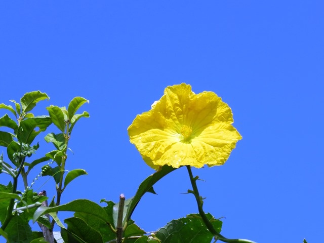 f:id:miyasun:20150904110233j:image