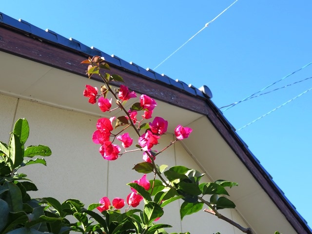 f:id:miyasun:20160120153307j:image