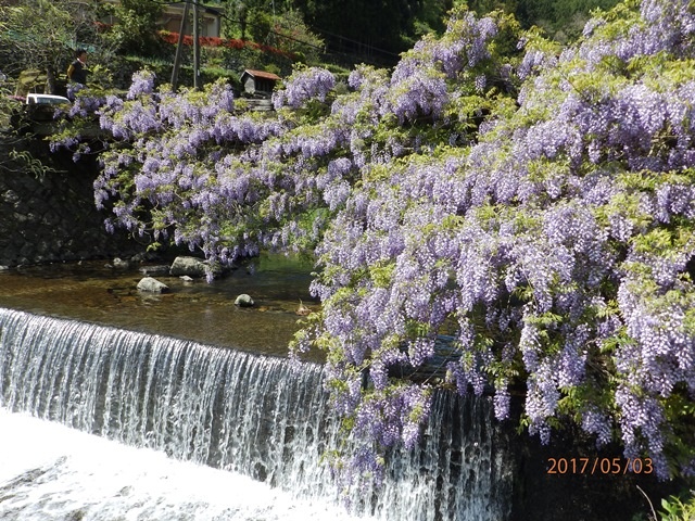 f:id:miyasun:20170503140809j:image f:id:miyasun:20170503140809j:image