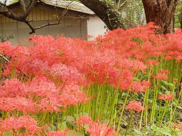 f:id:miyasun:20170924113419j:image