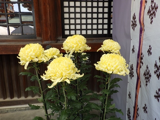 f:id:miyasun:20171103094856j:image