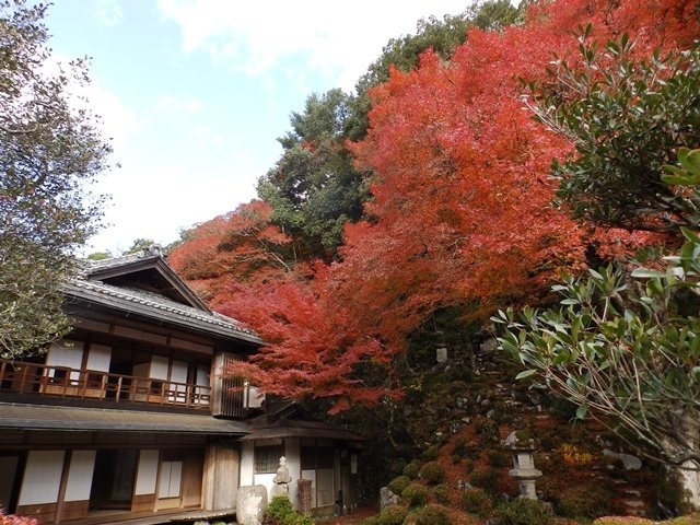 f:id:miyasun:20171111094252j:image