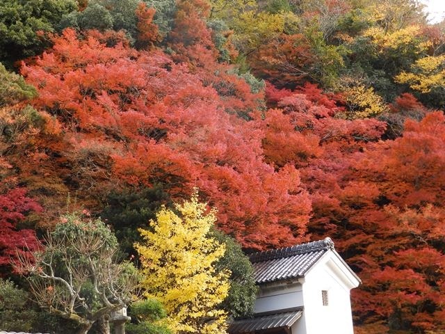 f:id:miyasun:20171111094750j:image