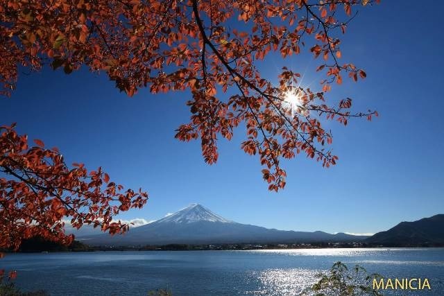 f:id:miyasun:20171204125554j:image
