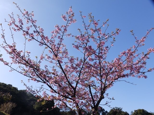 f:id:miyasun:20180310092200j:image f:id:miyasun:20180310092200j:image
