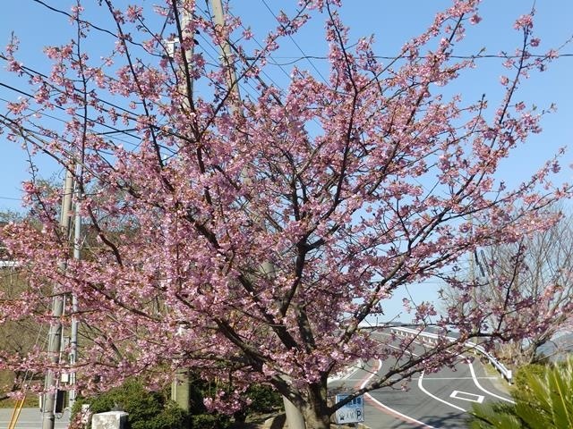 f:id:miyasun:20180310094155j:image f:id:miyasun:20180310094155j:image
