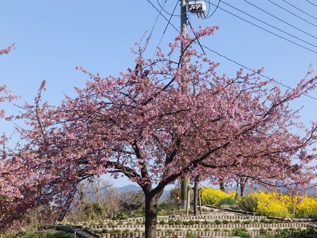 f:id:miyasun:20180310094305j:image f:id:miyasun:20180310094305j:image