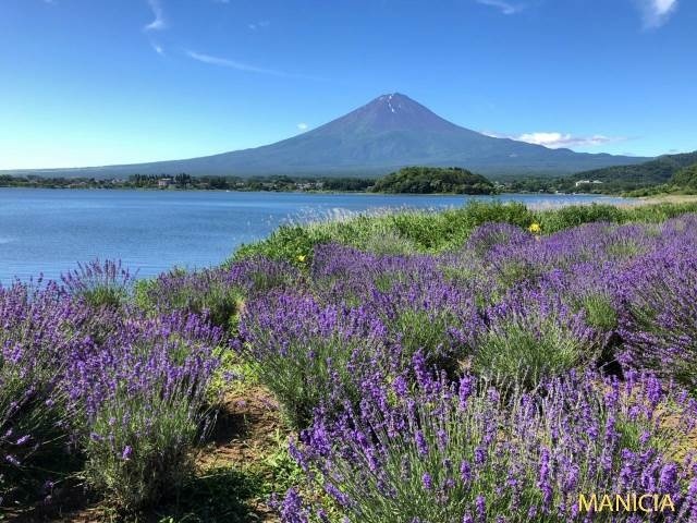f:id:miyasun:20180809102902j:image