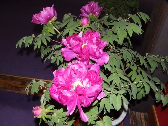 f:id:miyasun:20190104140648j:image