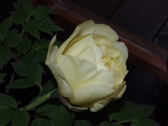 f:id:miyasun:20190104140719j:image