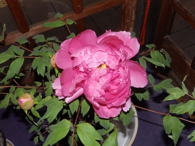 f:id:miyasun:20190104140745j:image