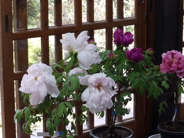 f:id:miyasun:20190104141523j:image