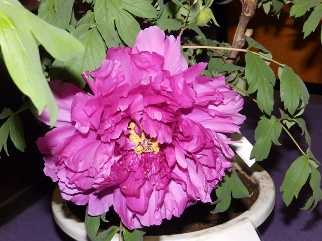 f:id:miyasun:20190104141608j:image