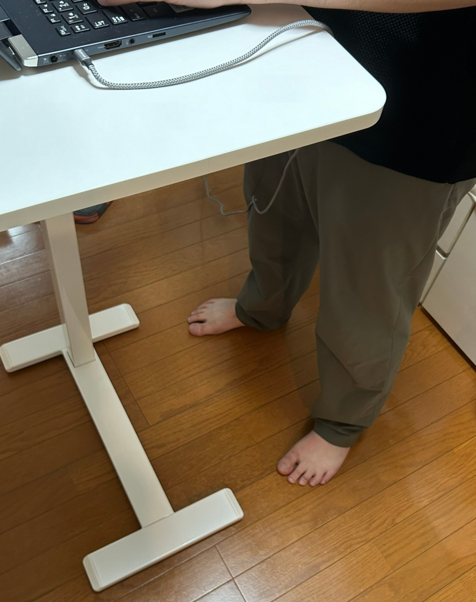 IKEA BOLLSIDAN ボッルシダン（IKEA イケア ラップトップ