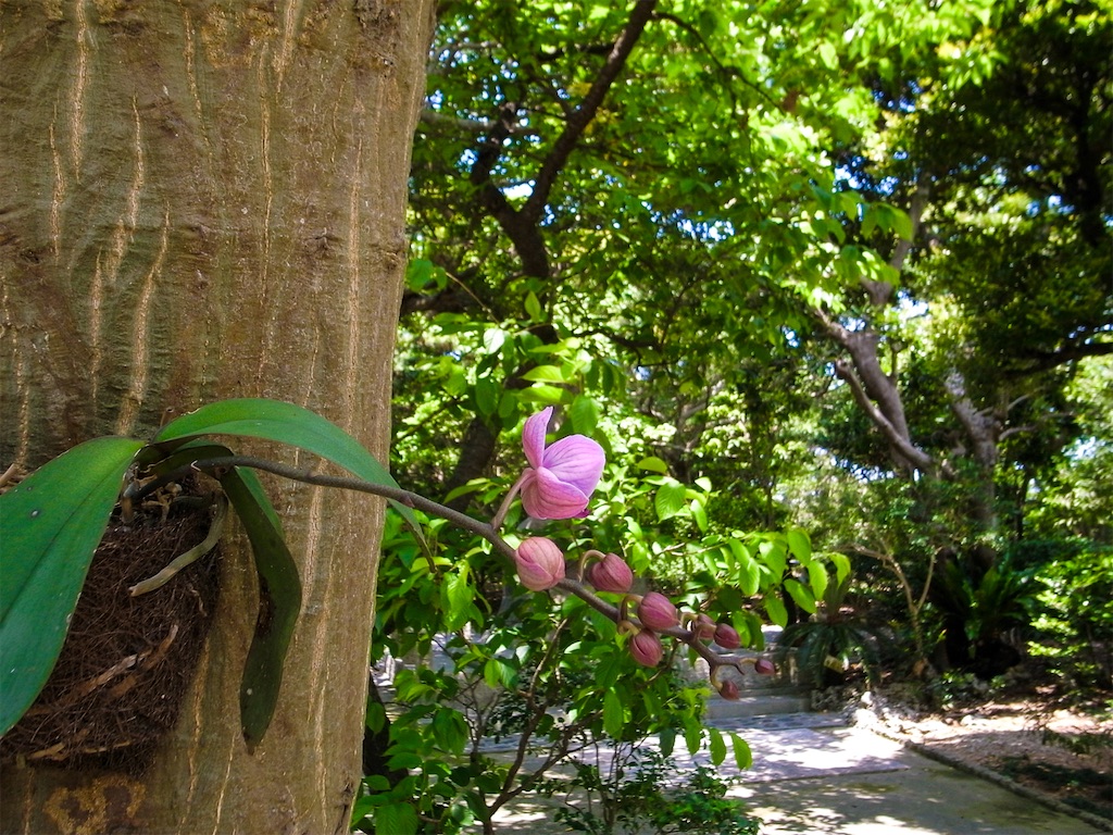 f:id:miyatahiroyuki:20240424075342j:image