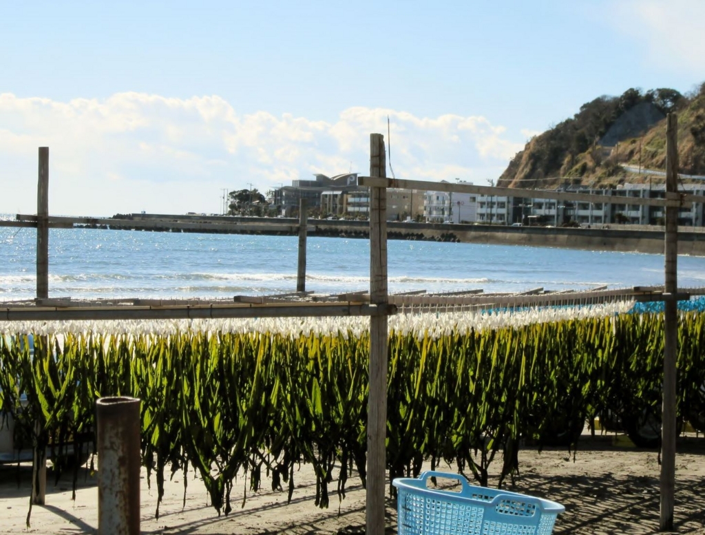 f:id:miyatak:20170212162827j:plain