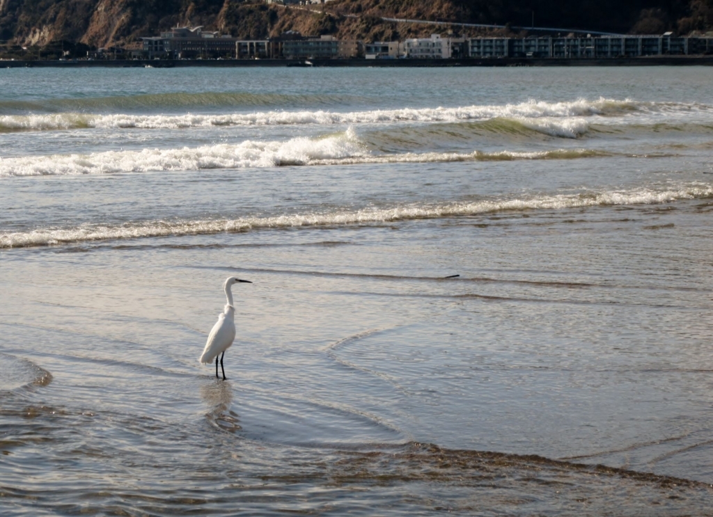 f:id:miyatak:20180126154114j:plain f:id:miyatak:20180126154114j:plain