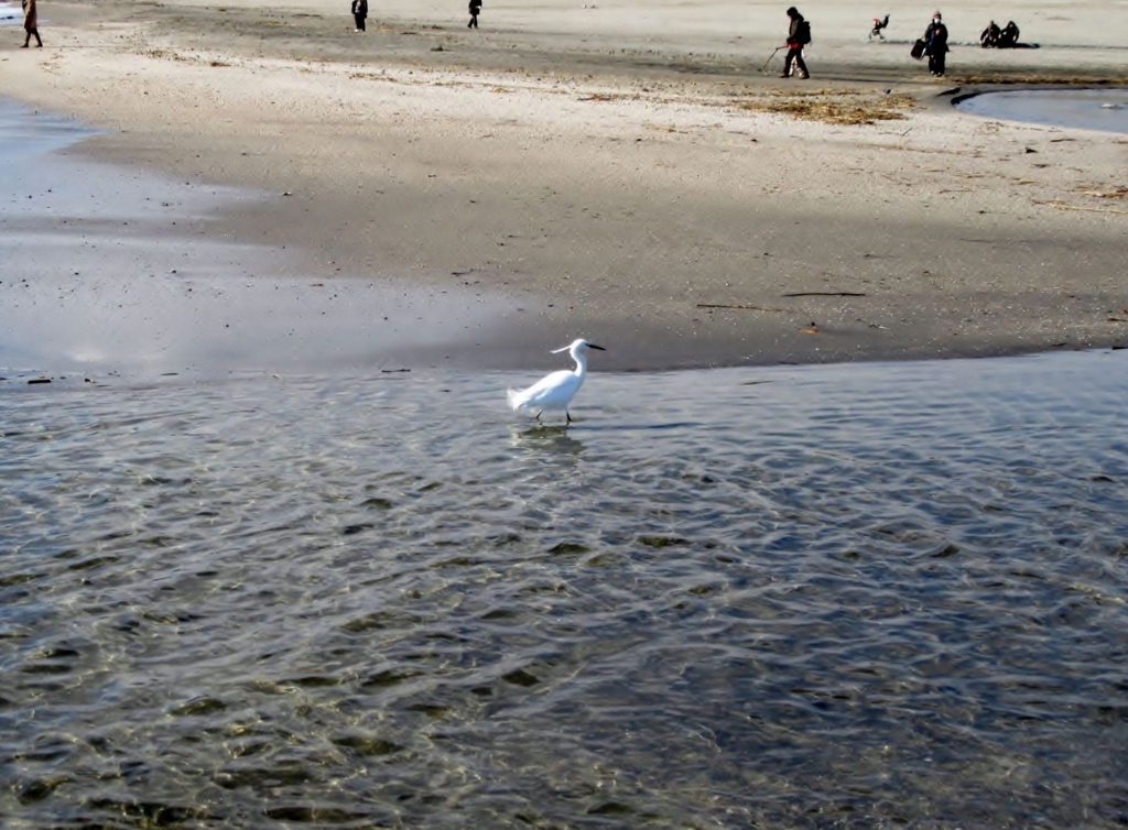 f:id:miyatak:20180126154211j:plain f:id:miyatak:20180126154211j:plain