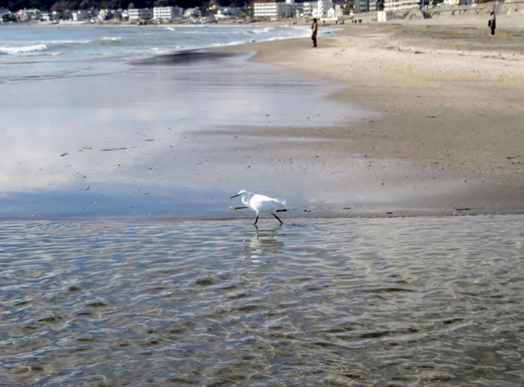 f:id:miyatak:20180126154319j:plain f:id:miyatak:20180126154319j:plain