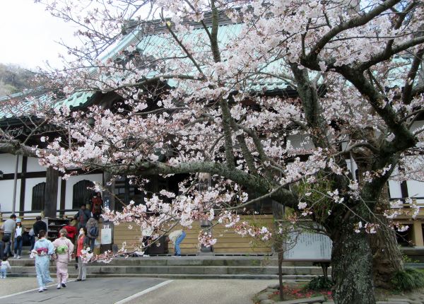 f:id:miyatak:20190331172539j:plain f:id:miyatak:20190331172539j:plain