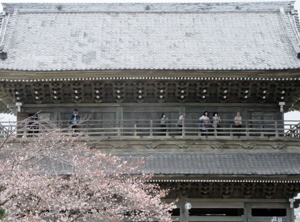 f:id:miyatak:20190331172649j:plain f:id:miyatak:20190331172649j:plain