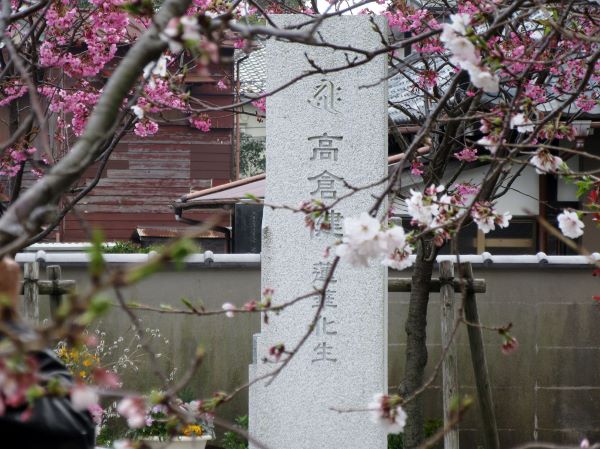 f:id:miyatak:20190331172725j:plain f:id:miyatak:20190331172725j:plain