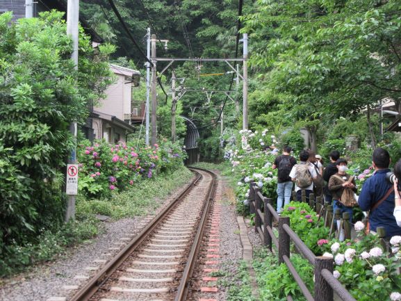 f:id:miyatak:20200614235956j:plain