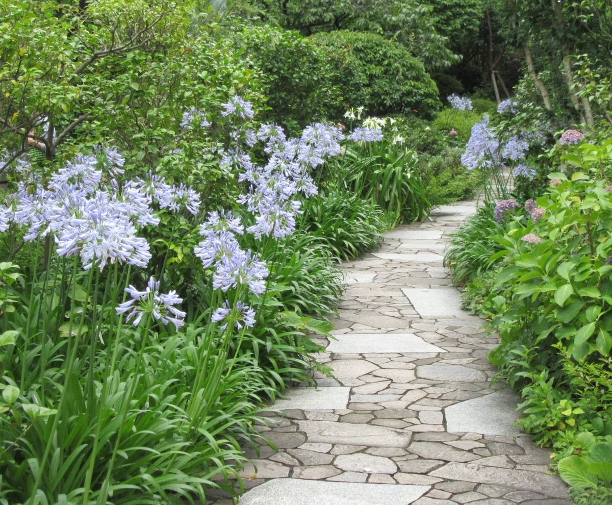 f:id:miyatak:20200704200719j:plain f:id:miyatak:20200704200719j:plain