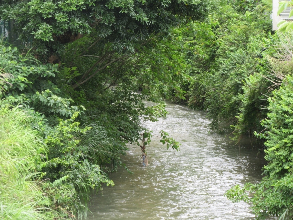 f:id:miyatak:20200704201820j:plain f:id:miyatak:20200704201820j:plain