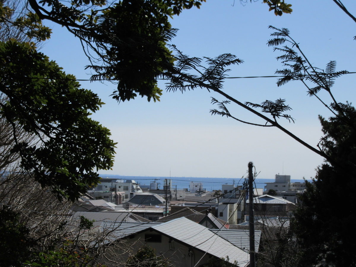 f:id:miyatak:20210301183220j:plain