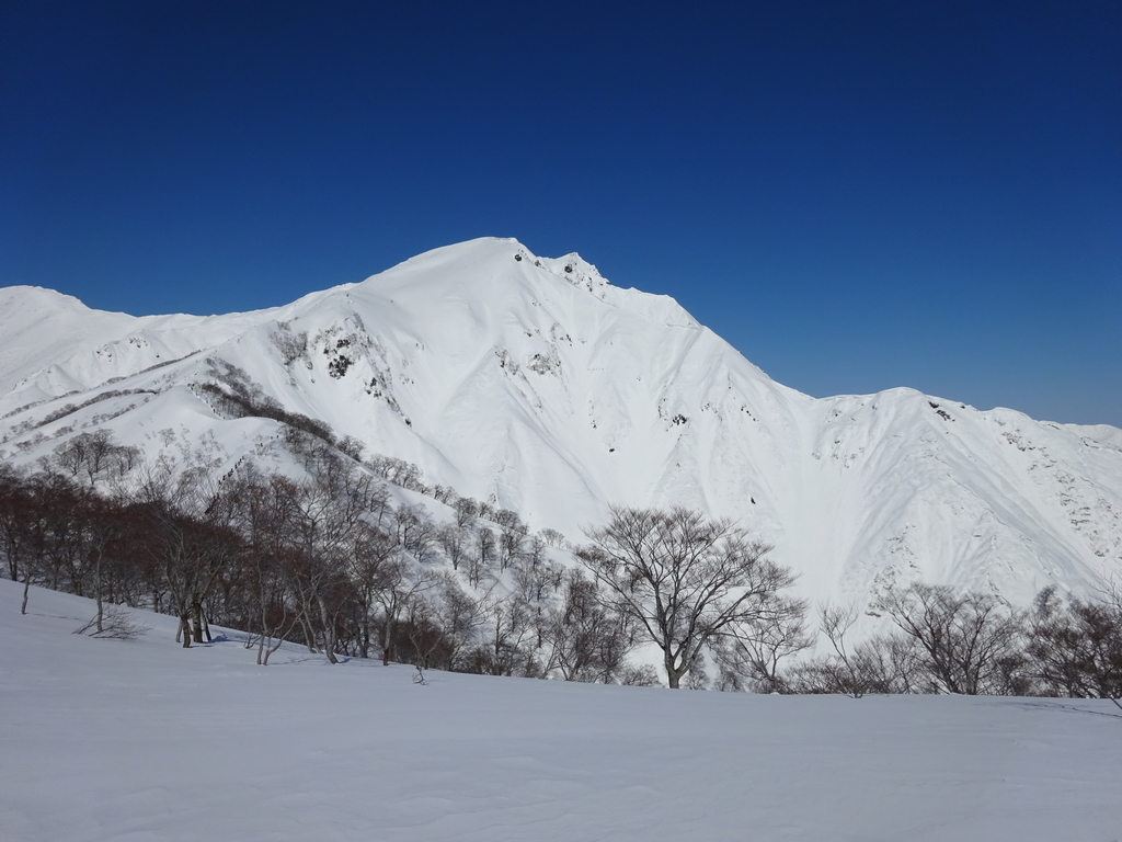 f:id:miyatsch:20181231200305j:plain f:id:miyatsch:20181231200305j:plain