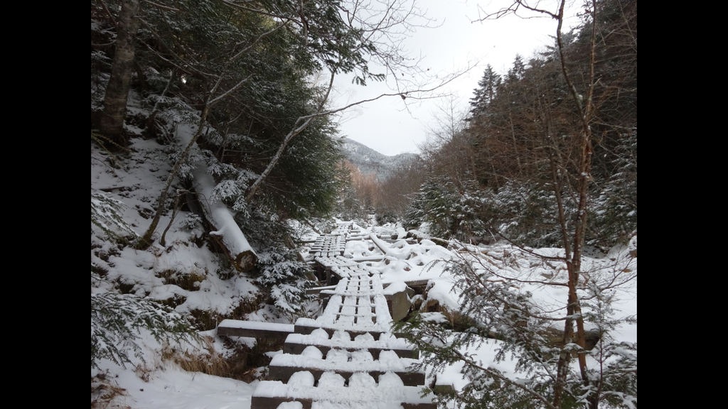 f:id:miyatsch:20190105111429p:plain f:id:miyatsch:20190105111429p:plain