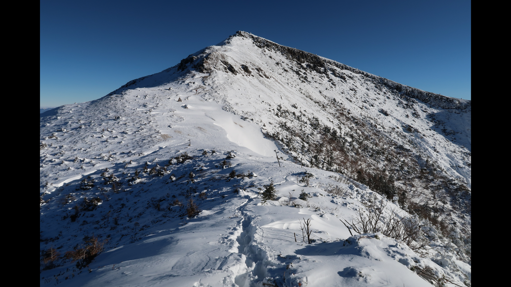 f:id:miyatsch:20190105111855p:plain f:id:miyatsch:20190105111855p:plain