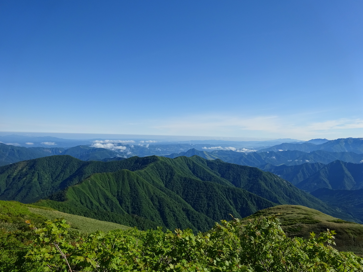 f:id:miyatsch:20190609180248j:plain f:id:miyatsch:20190609180248j:plain