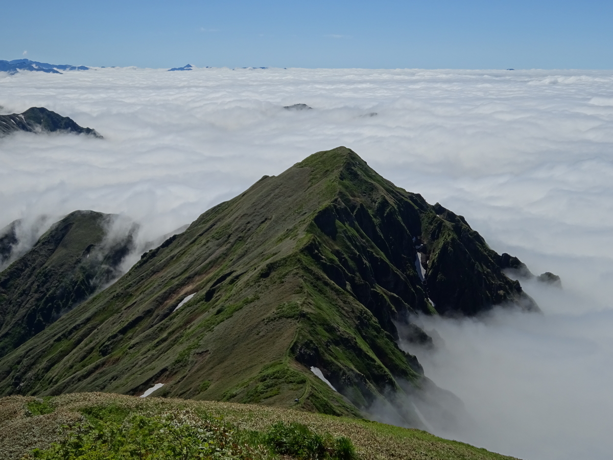 f:id:miyatsch:20190609180319j:plain f:id:miyatsch:20190609180319j:plain