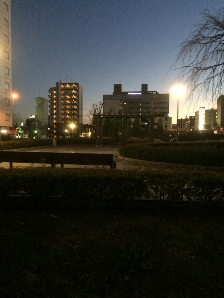 f:id:miyauchi135:20161214145832j:plain