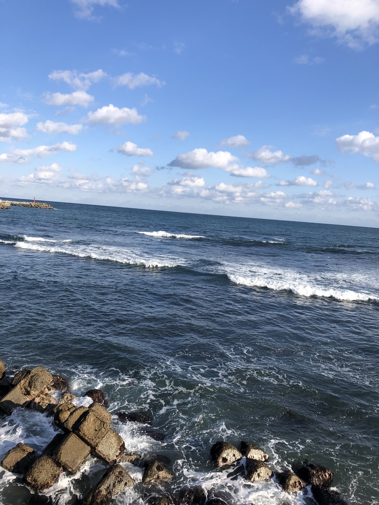 f:id:miyauchi135:20190117155919j:plain f:id:miyauchi135:20190117155919j:plain