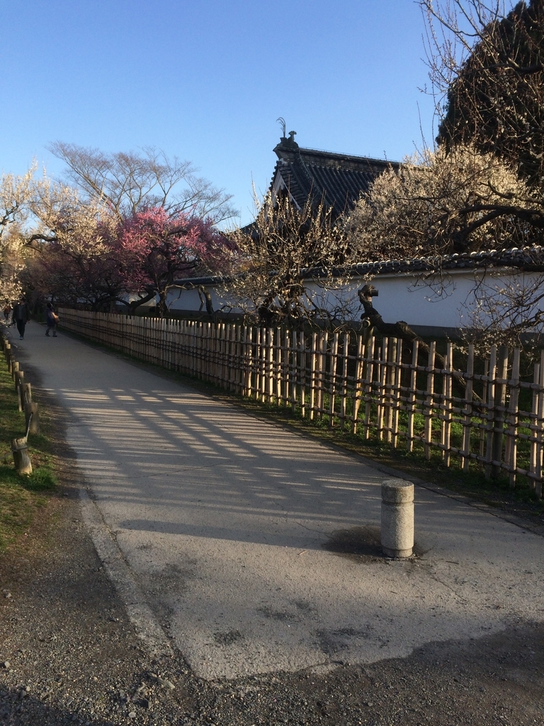 f:id:miyauchi135:20190309233445j:plain