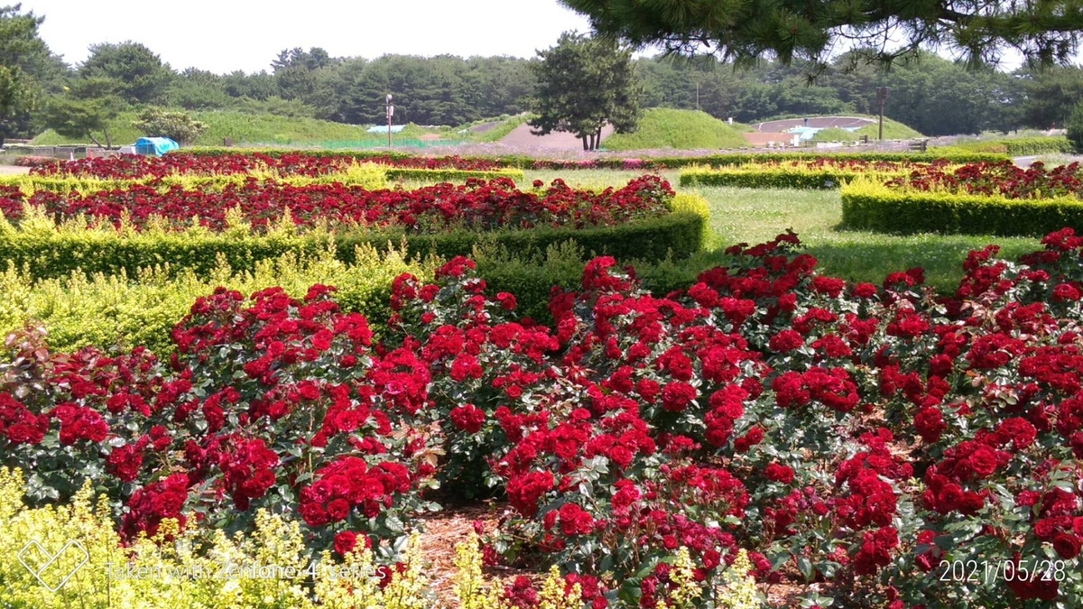 f:id:miyauchi135:20210530010631j:plain