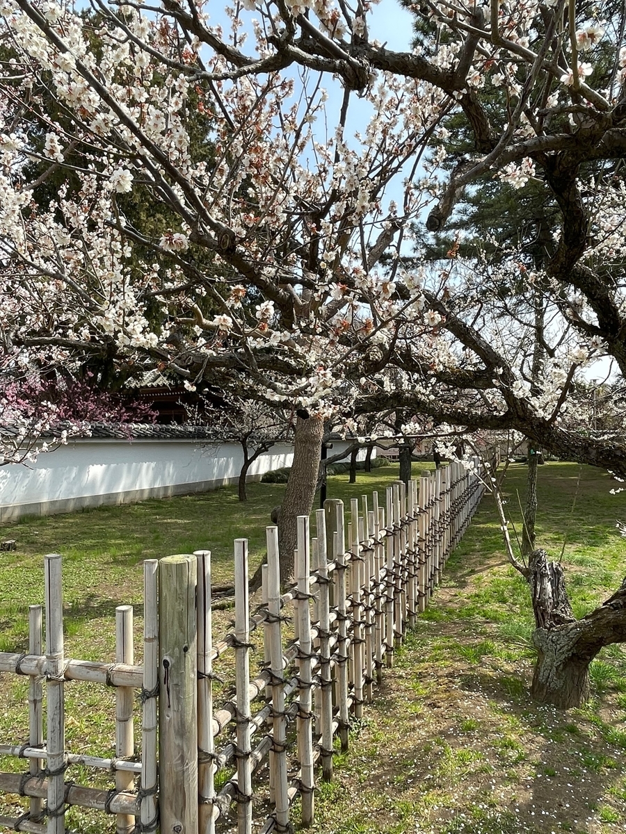 f:id:miyauchi135:20220321005928j:plain