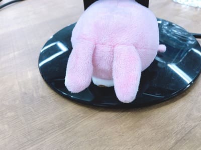 f:id:miyayu0921:20190711173524j:plain