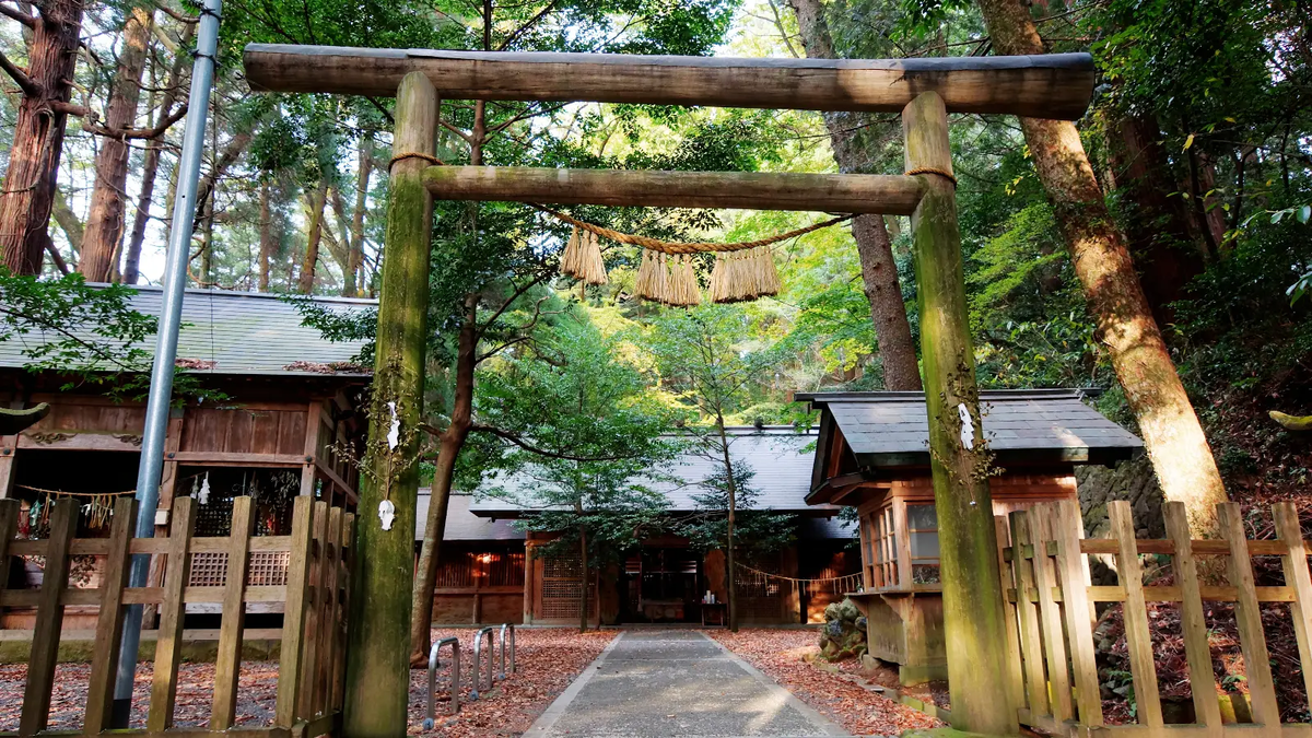 天岩戸神社・東本宮の鳥居と社殿。静かな森に囲まれ、落ち葉の参道が続く神聖な雰囲気の境内