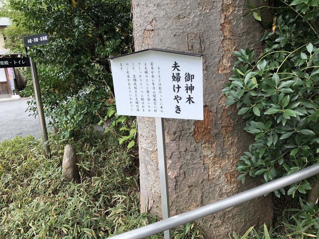 f:id:miyazaki_traveller:20200117111158j:plain