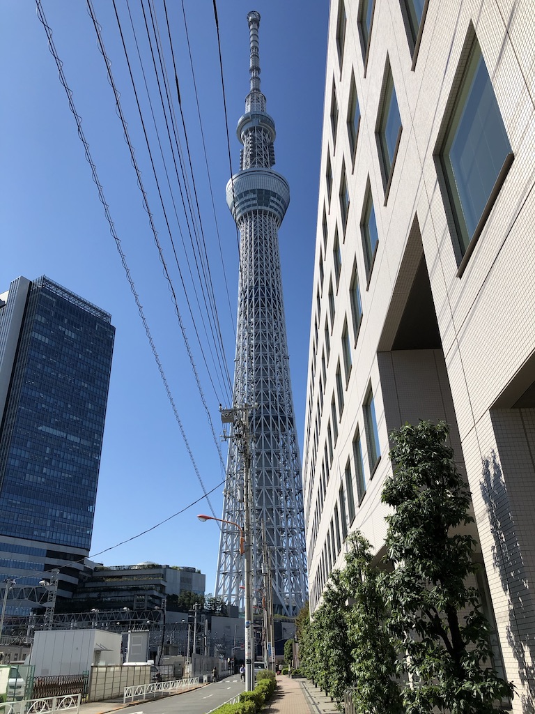 f:id:miyazaki_traveller:20200124095402j:plain