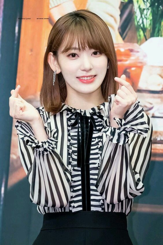 f:id:miyazakimiho:20190524154737j:plain f:id:miyazakimiho:20190524154737j:plain